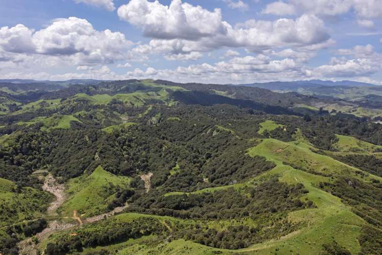 Te Papatapu Road Raglan_29