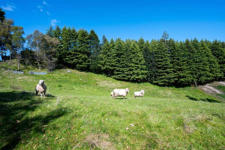 156 Te Mata Peak Road Havelock North_19