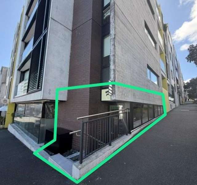 25A Pollen Street Grey Lynn_1