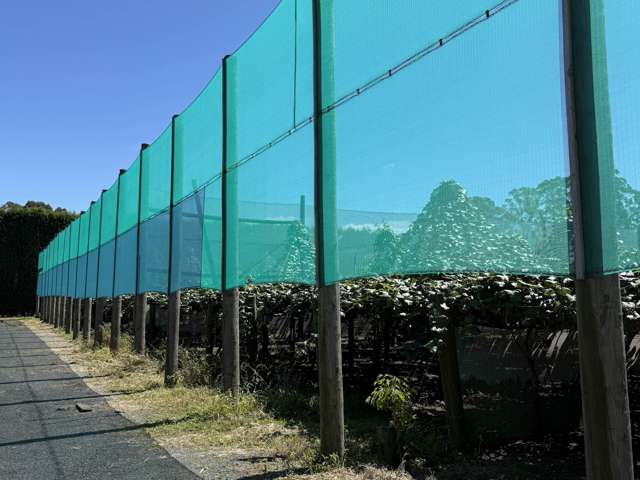 89 Work Road Aongatete_2