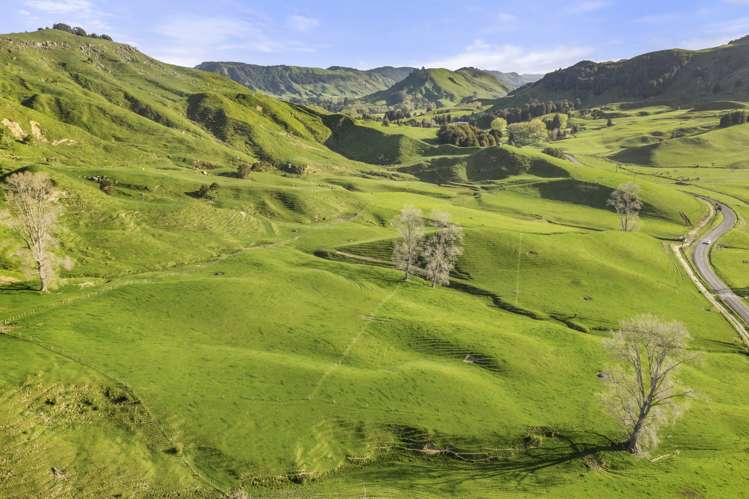 446 Tikitiki Road Te Kuiti_22