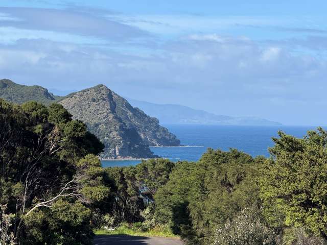 6 Iona Road Great Barrier Island_2