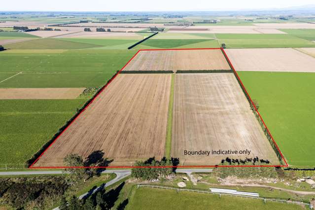 1234 Back Track Ashburton_1