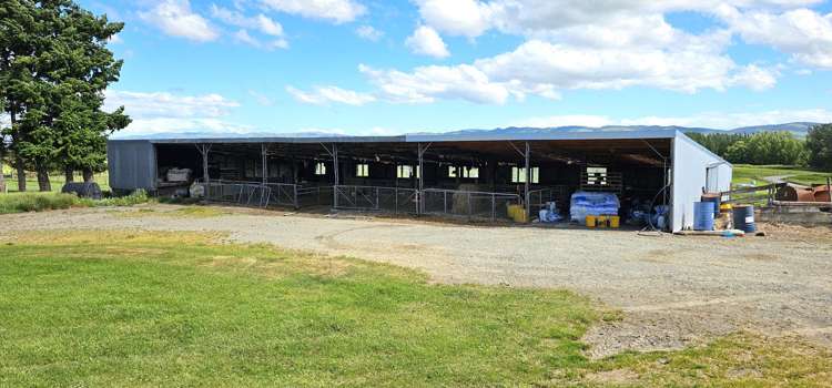 236 Walker Road Lumsden Surrounds_8