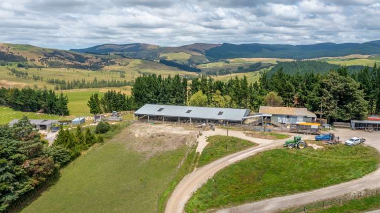 456 Ngawaka Road Central Hawkes Bay Country_6