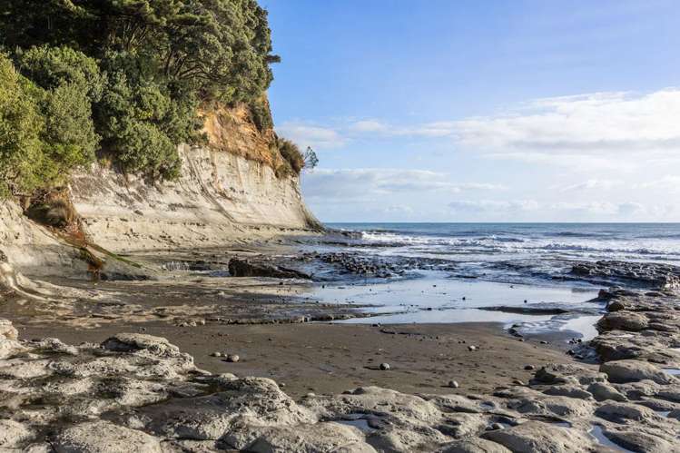 Wai-iti Beach Retreat Beach Road Waiiti_24