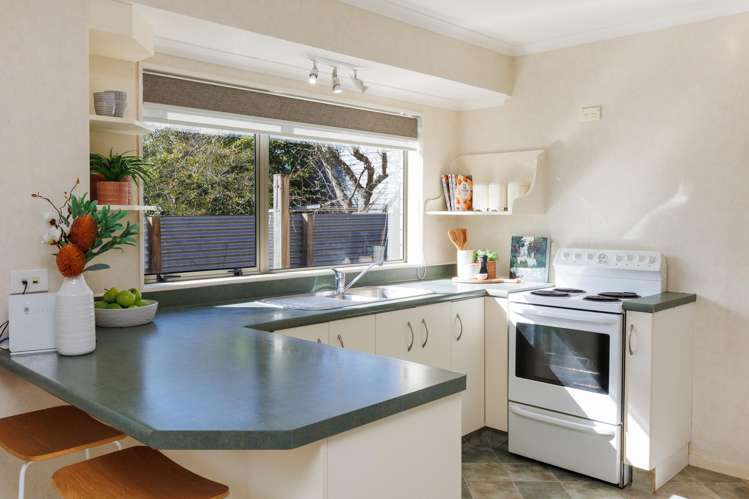 32 Mcgregor Street Milson_7