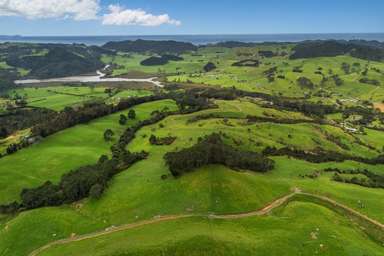 Lot 1/471 Purangi Road_4