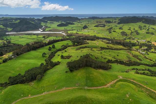 Lot 1/471 Purangi Road Cooks Beach_4