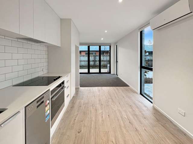 11F Hinemoa St Spreydon_3