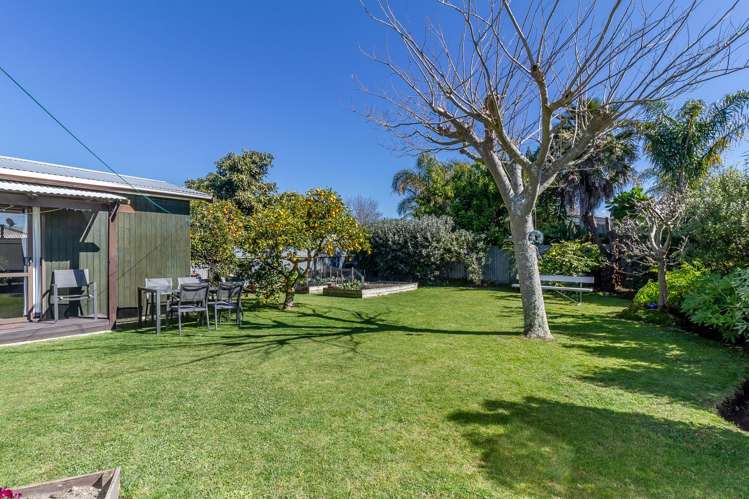 63 Guppy Road Greenmeadows_13