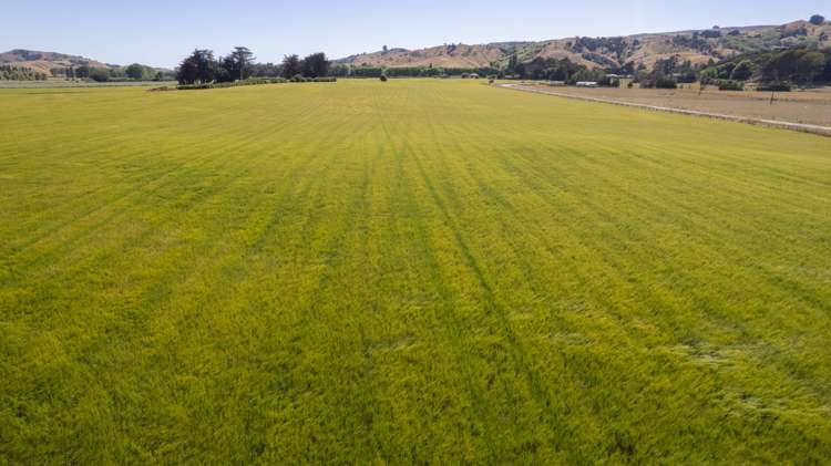 1231 Longbush Road Longbush_5