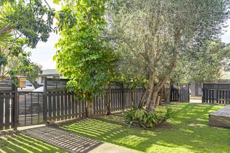 6 Bain Street Mount Maunganui_6