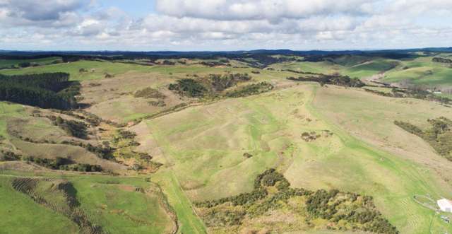 729 Peak Road Helensville_2