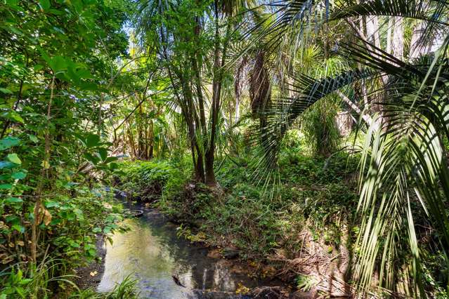 41B Athlone Road Glendowie_3