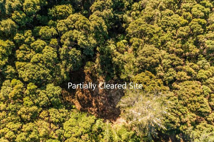 Te Wahapu Road Russell_4