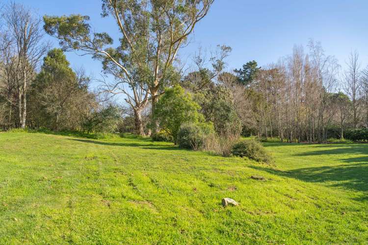 61 Udy Street Greytown_34