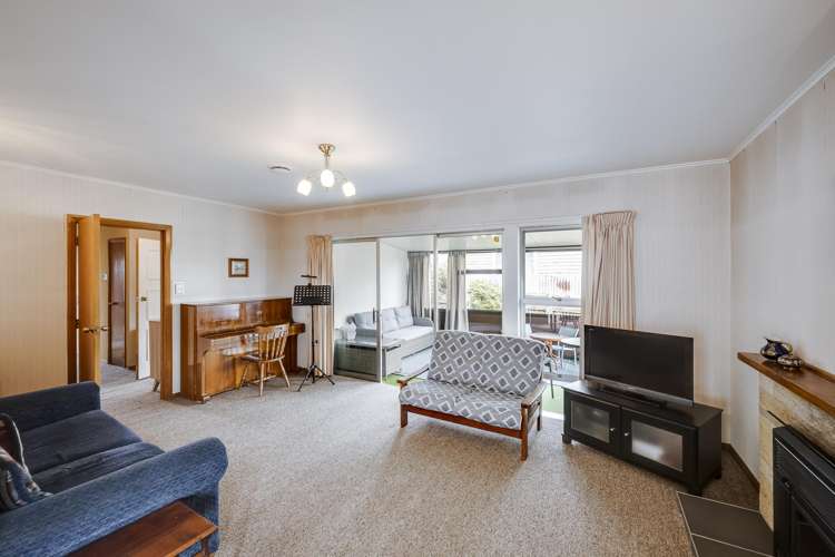 53 Alexander Avenue Onekawa_7