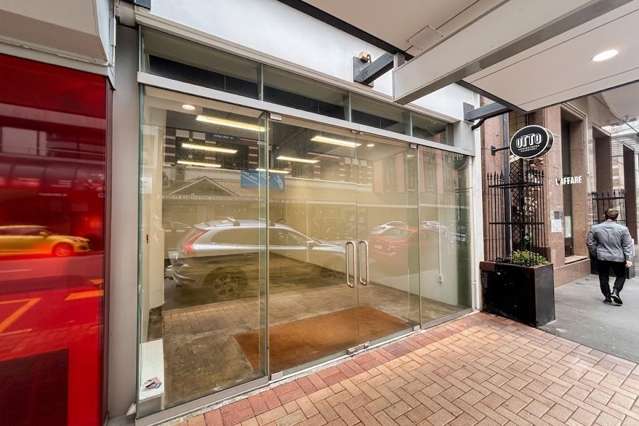 Ground/119 Featherston Street Wellington Central_3