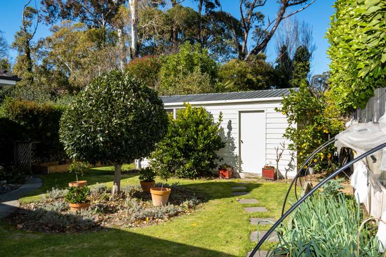 65 Mchardy Street Havelock North_19