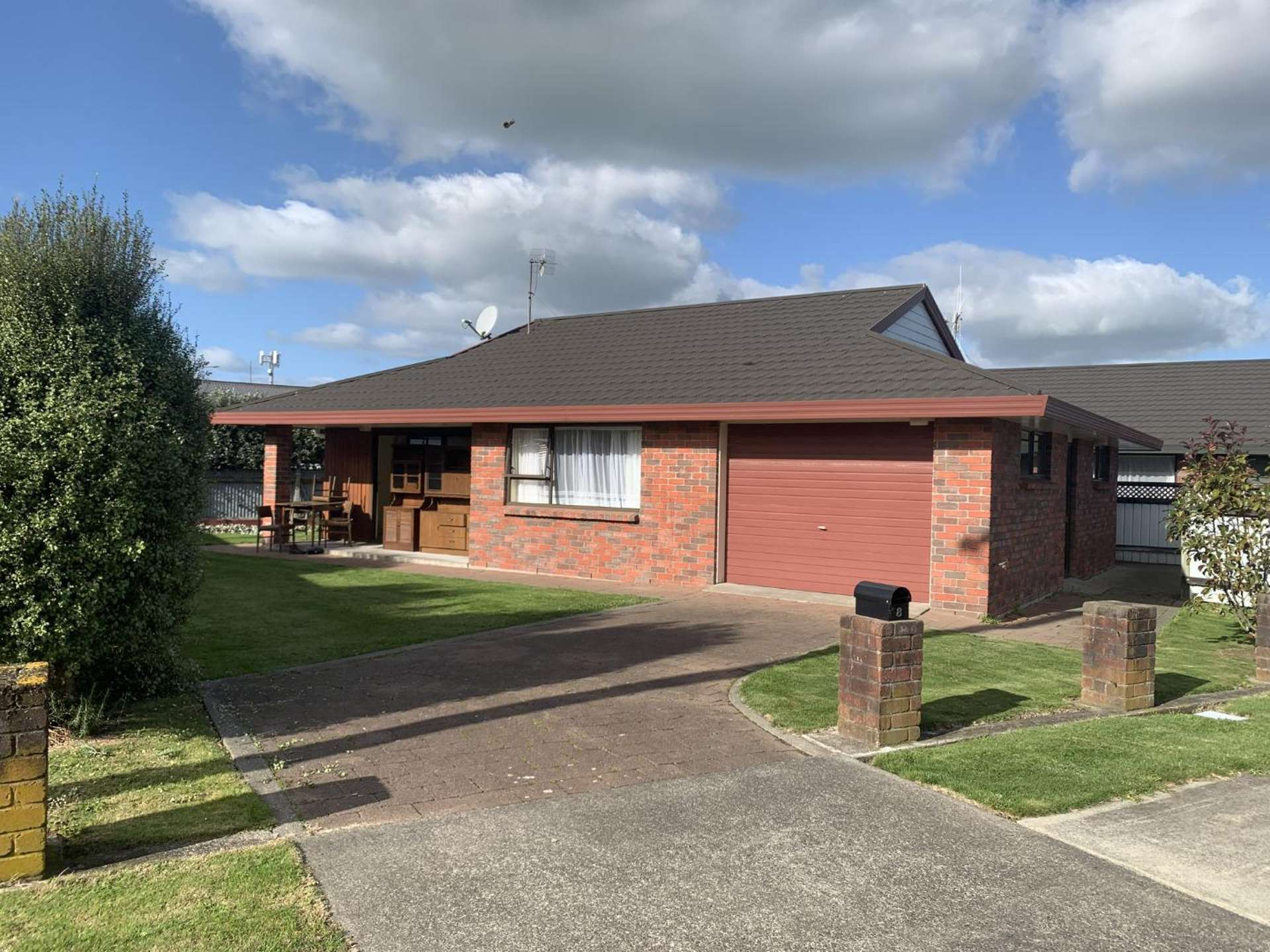 8 Hammond Street Bulls_0