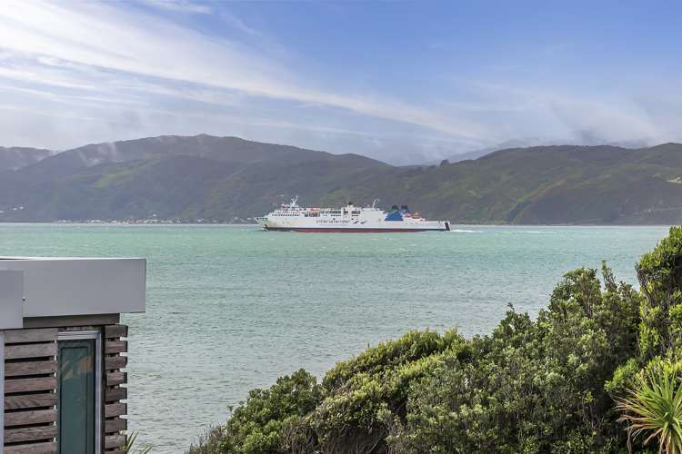 3 Hector Street Seatoun_18