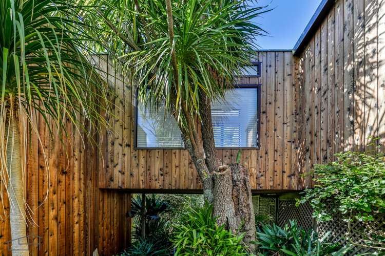 43 Pukeora Avenue Remuera_30