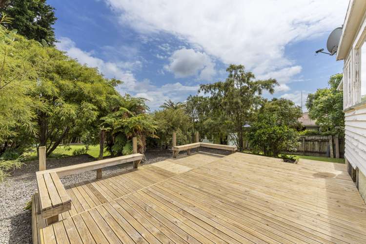 17 Argyle Avenue Levin_12