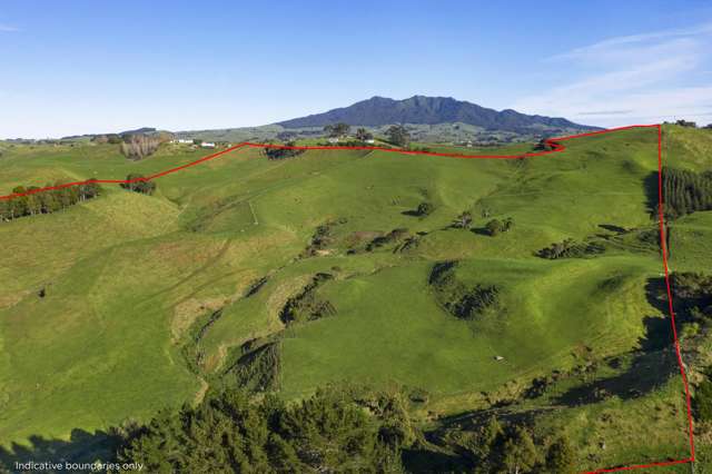 535 Maungatawhiri Road Raglan_4