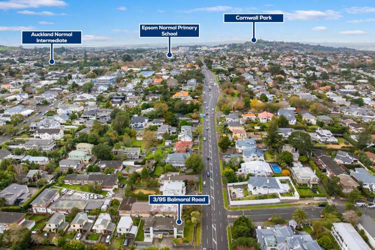 3/95 Balmoral Road Mt Eden_16