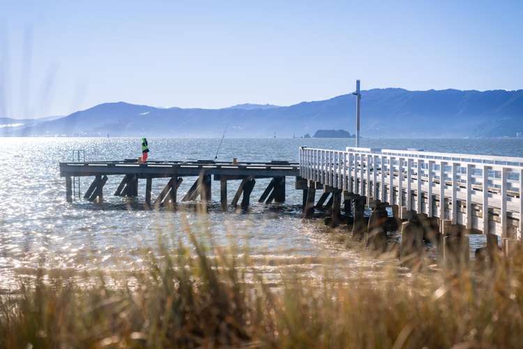 34A Dundas Street Seatoun_2