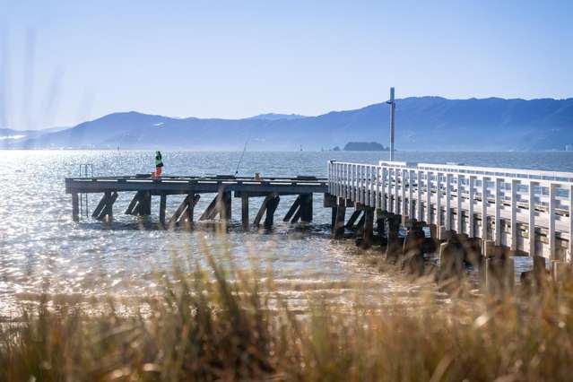 34A Dundas Street Seatoun_3