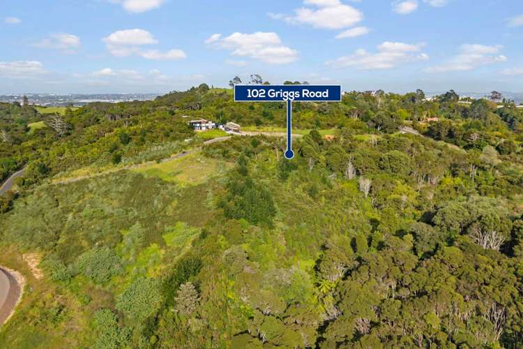 102 Griggs Road East Tamaki Heights_8