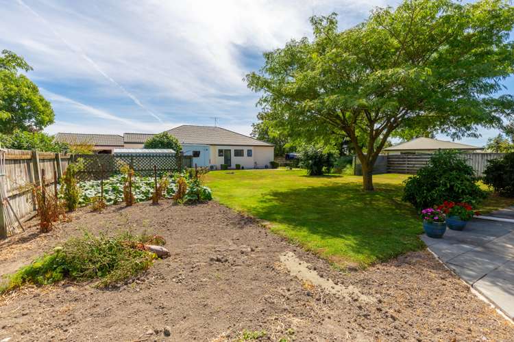 40a Colemans Road Springlands_17