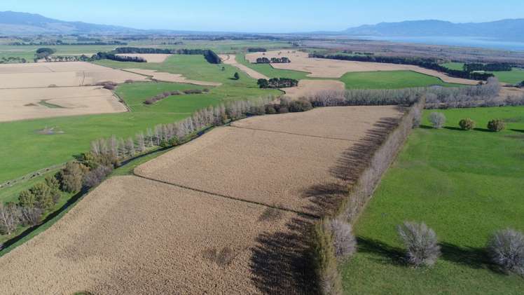 420a Kahutara Road Kahutara_16