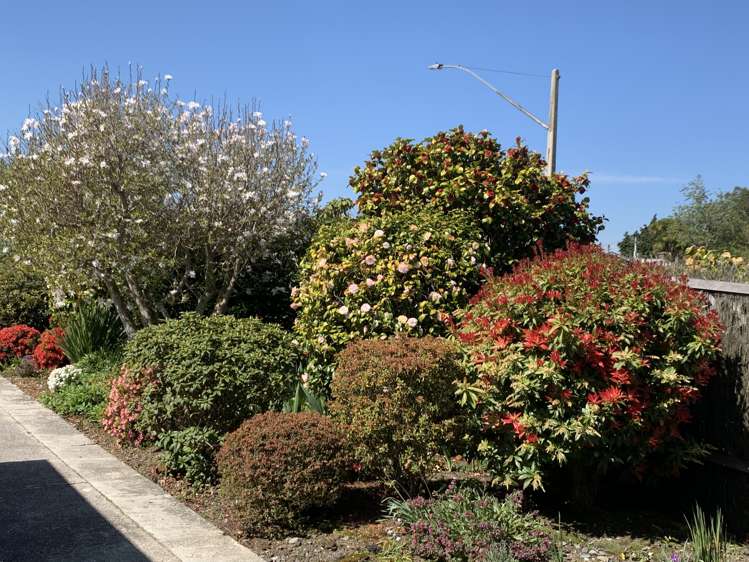 17 Centennial Avenue Balclutha_13