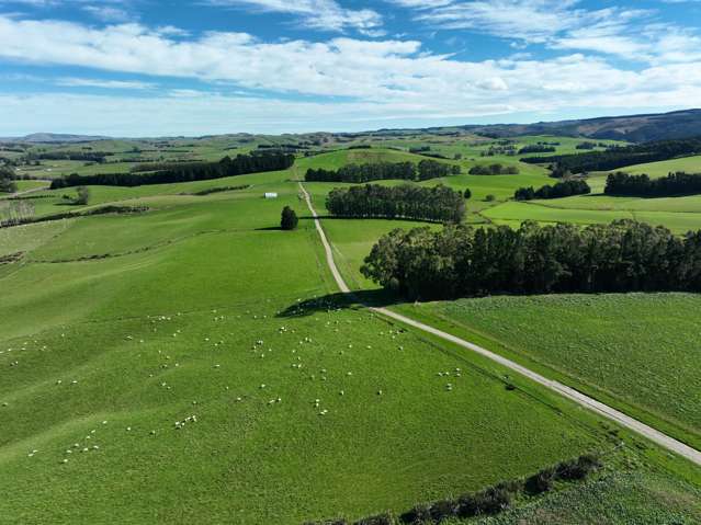 191 Chapman Road Wharetoa_4