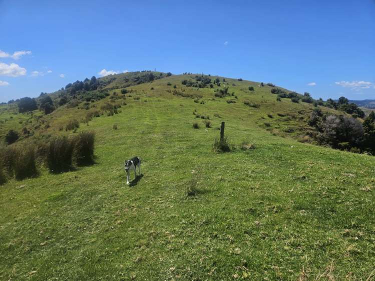 160 Te Rore Road Kaitaia_21