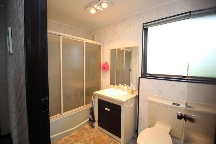 15 Wilson Street Bulls_26