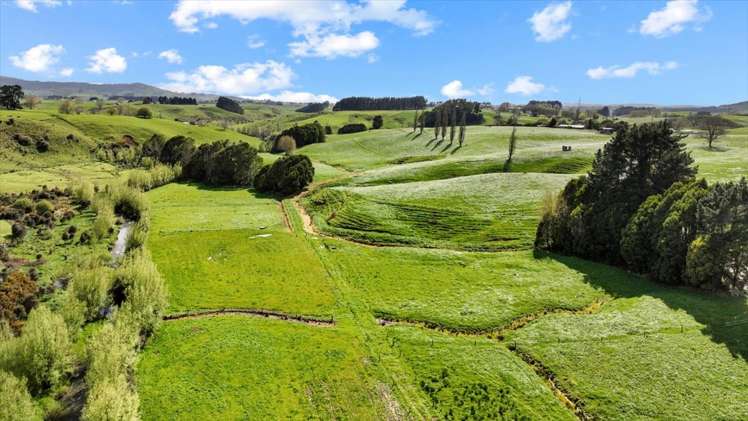 40 Turitea Road Otorohanga_22