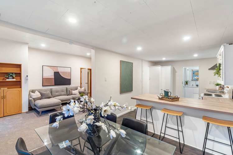 18 Austin Street Sydenham_8