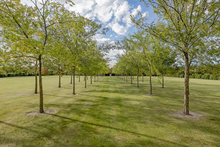 325 Purchas Road Amberley_28