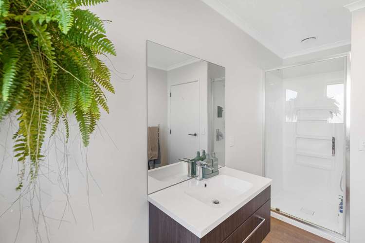 201b Tiro Tiro Road Levin_13