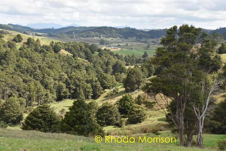 280 Central Road Mareretu_49