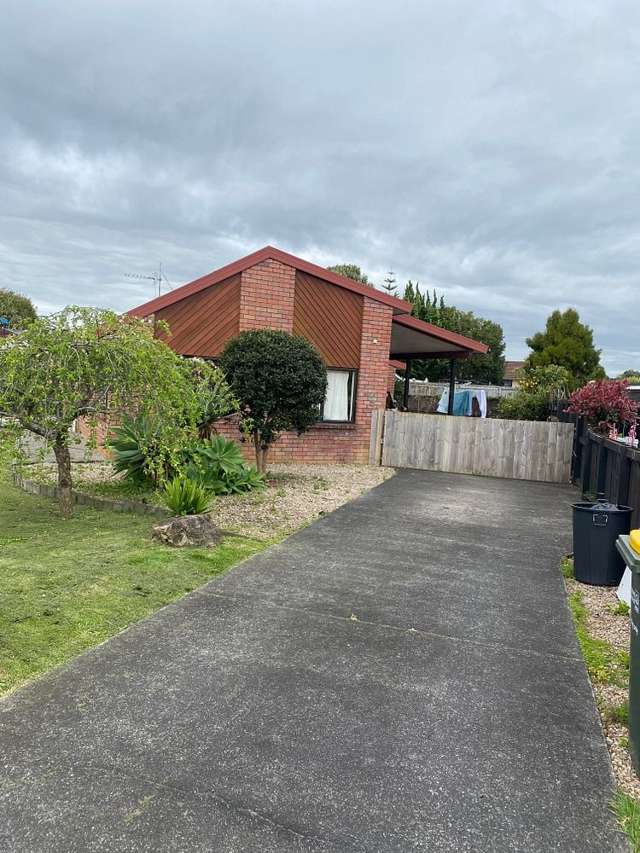 10 Godwit Place Waiuku_1