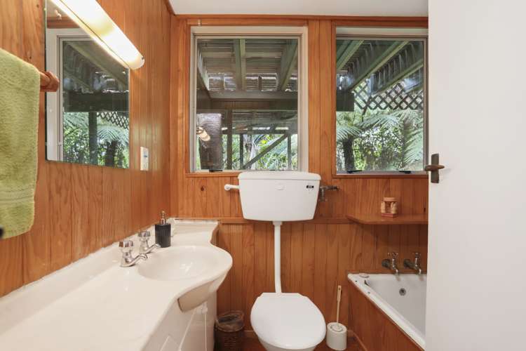 46 Tanekaha Road Titirangi_22
