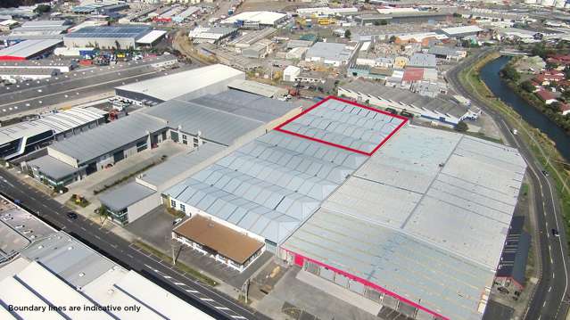 2C Bell Road South Gracefield_4