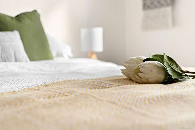 21 Broadfield Street Massey_8