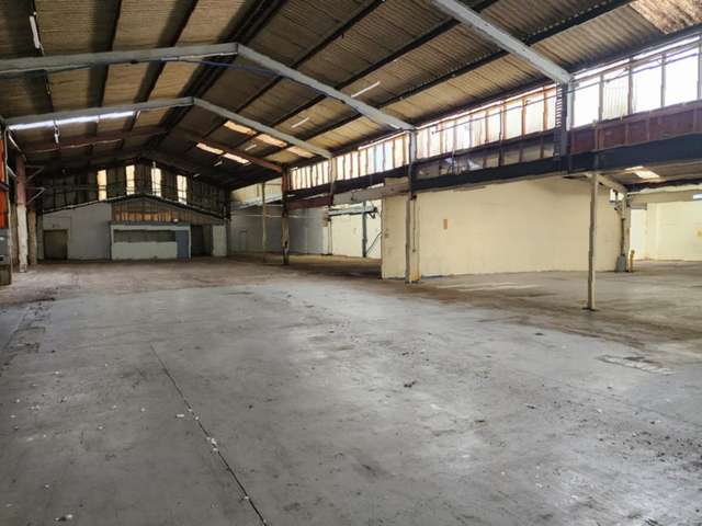 101 Collins Avenue Tawa_4