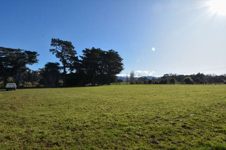 465 Belvedere Road Carterton_18